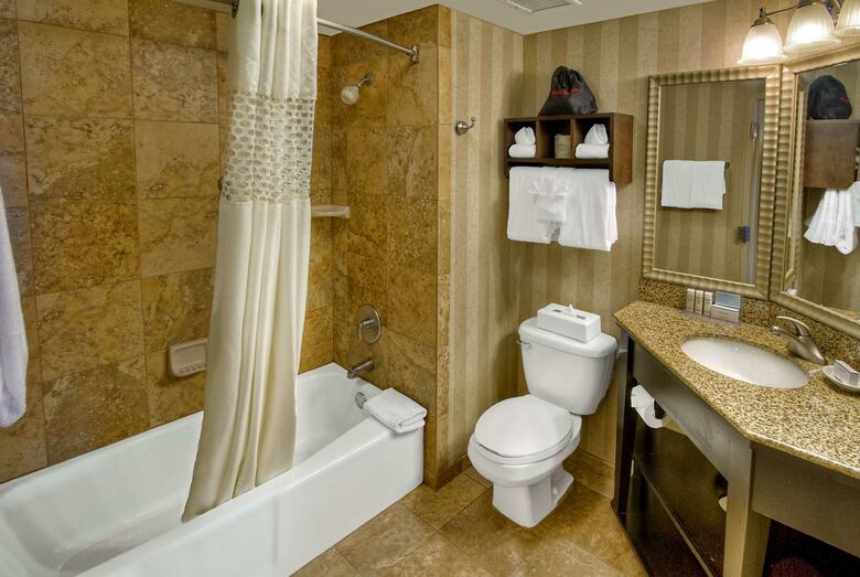 Hotel Hampton Inn Nashville/vanderbilt