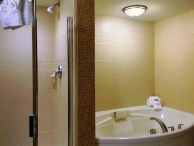 Hotel Hampton Inn & Suites Tampa-wesley Chapel