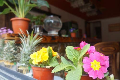 Hostal Mogan Guyue Guesthouse