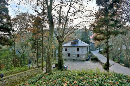 Albergue Bai Yun Shen Chu -fu Di