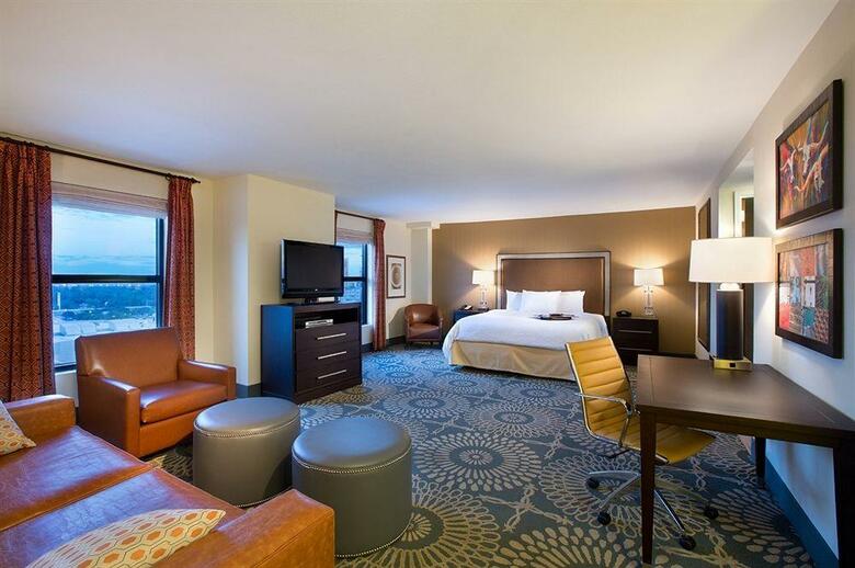 Hotel Hampton Inn & Suites Austin-downtown Tx