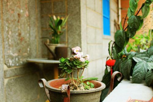 Meizhou Puxing Young Hostel