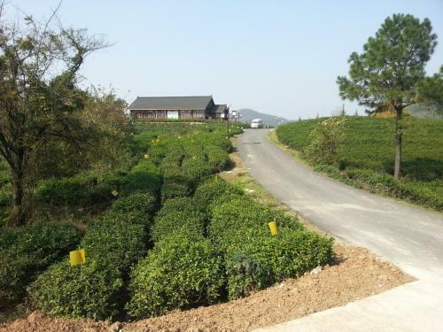Hotel Red Lion Tea Farm