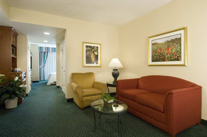 Hotel Hilton Garden Inn Tampa North