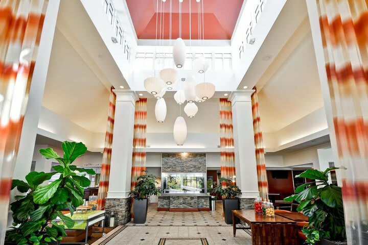 Hotel Hilton Garden Inn Tampa North