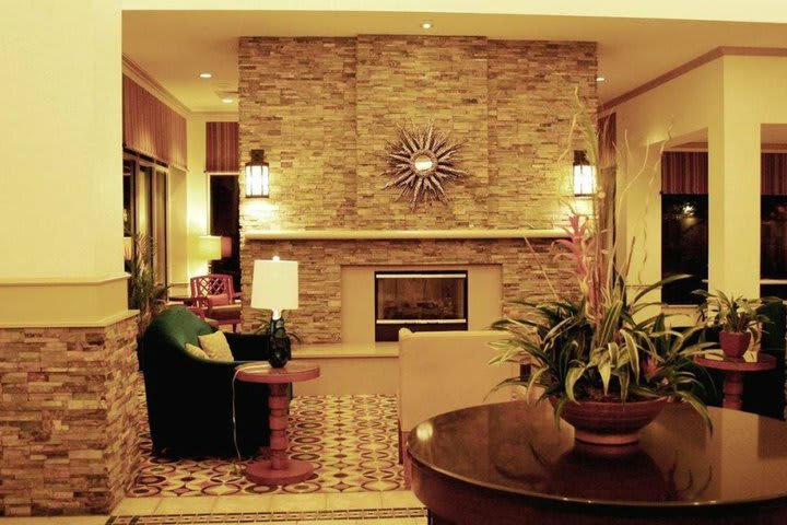 Hotel Hilton Garden Inn Tampa North