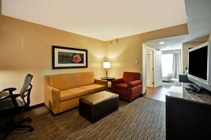 Hotel Hilton Garden Inn Tampa North