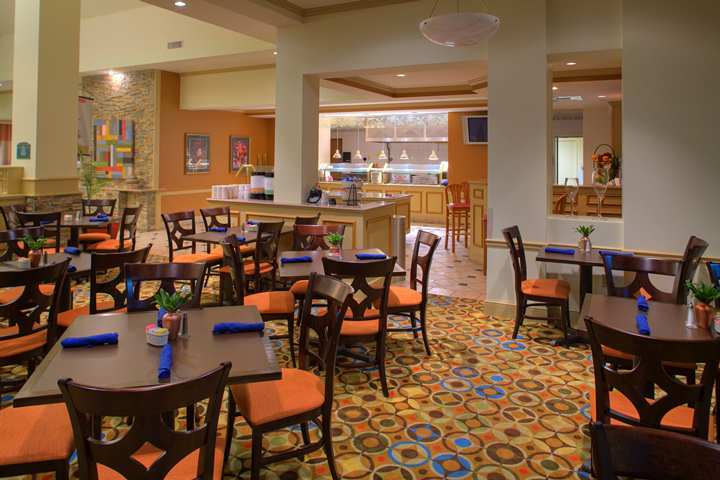 Hotel Hilton Garden Inn Tampa North