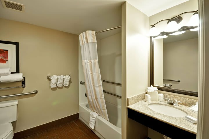 Hotel Hilton Garden Inn Tampa North