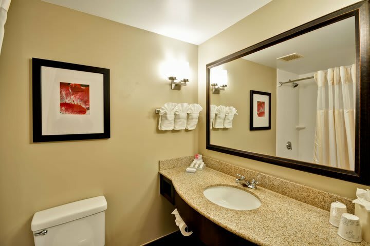 Hotel Hilton Garden Inn Tampa North