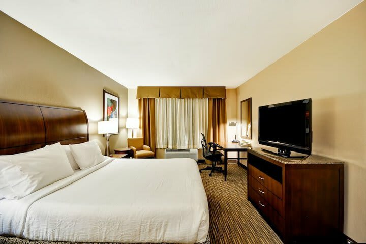 Hotel Hilton Garden Inn Tampa North