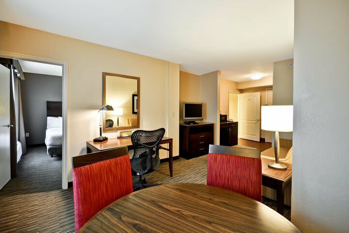 Hotel Hilton Garden Inn Tampa North