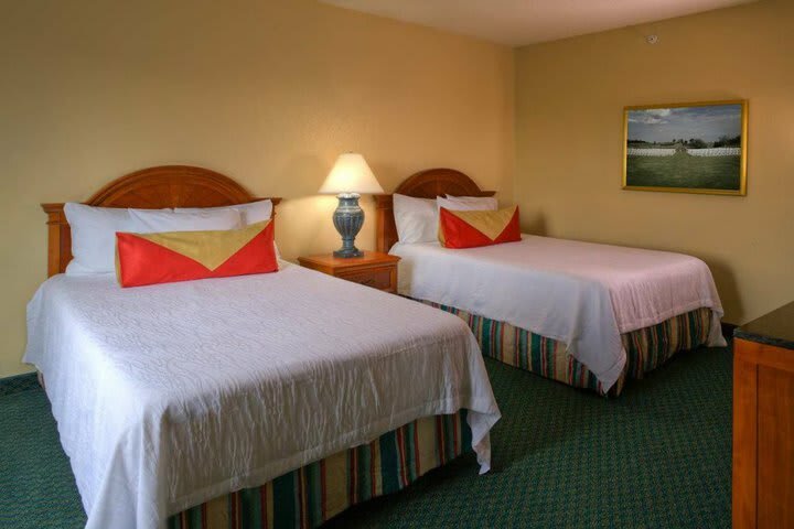 Hotel Hilton Garden Inn Tampa North
