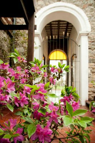 La Misi�n Hotel