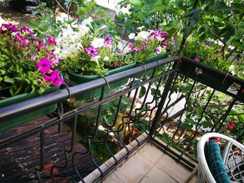 Residencia Hotel Paradise