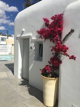 Hotel Mykonos Ammos