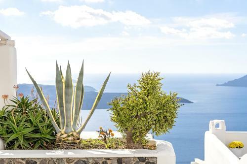 Residencia Agali Houses