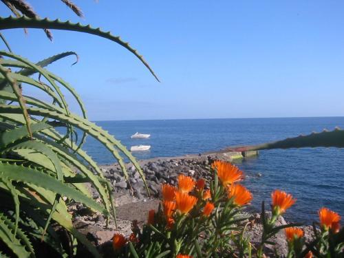 Villa Faj� Dos Padres