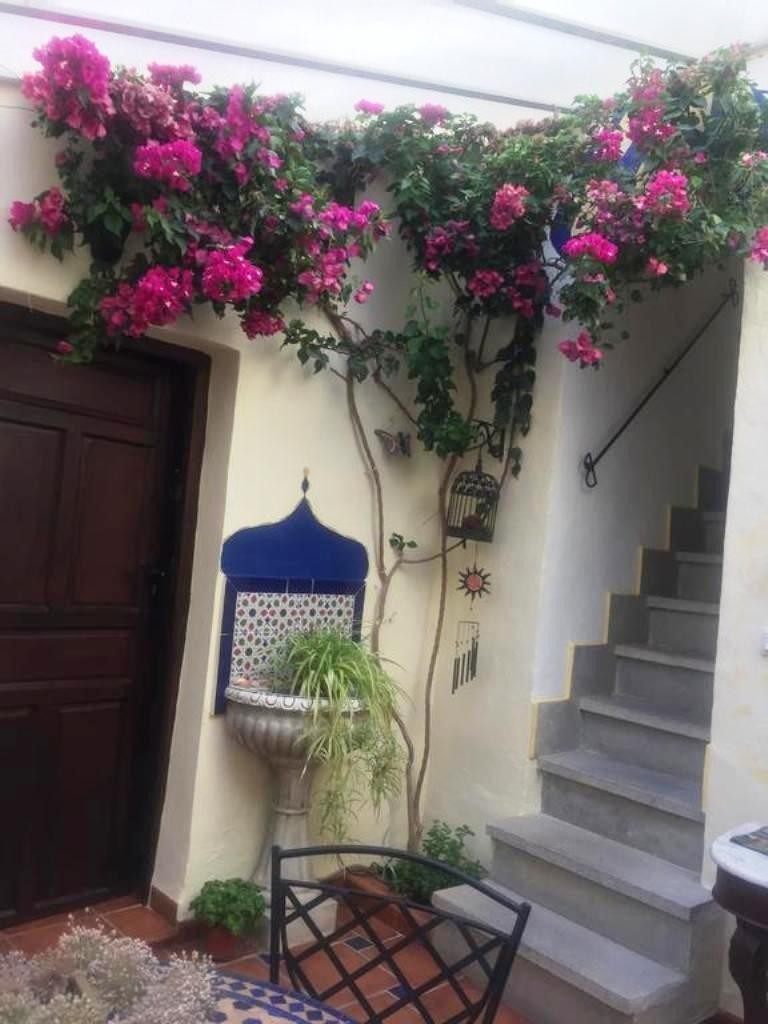 Bed & Breakfast Baraka Boutique Pensi�n