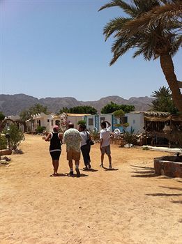 Bed & Breakfast Habiba Village
