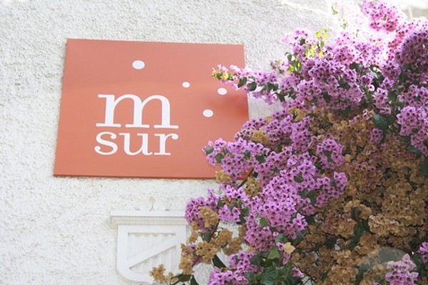 Meridiano Sur Petit Hotel