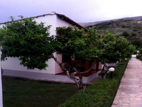 Apartment Villaggio Shehu