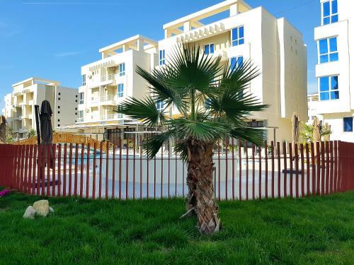 Flori Beach Apartment Radhime