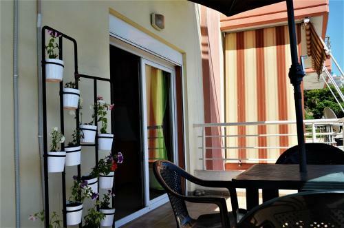 Alba Apartments