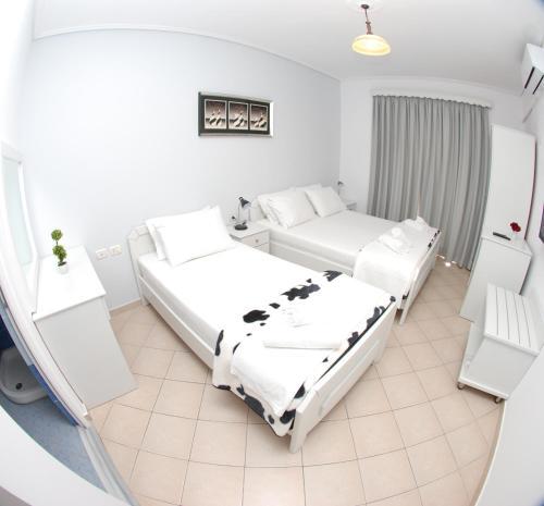 Hotel Balkan
