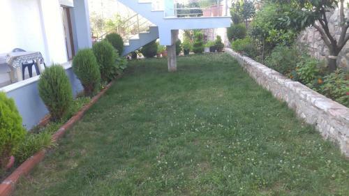 Apartment Zeka
