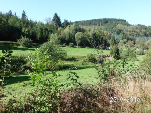 Hostal Pension Sonnenschein