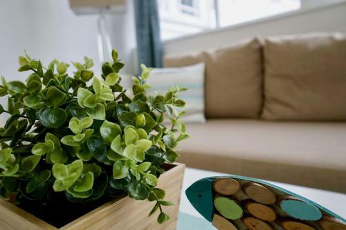 Apartamento Ferienappartement-moenchgut-14
