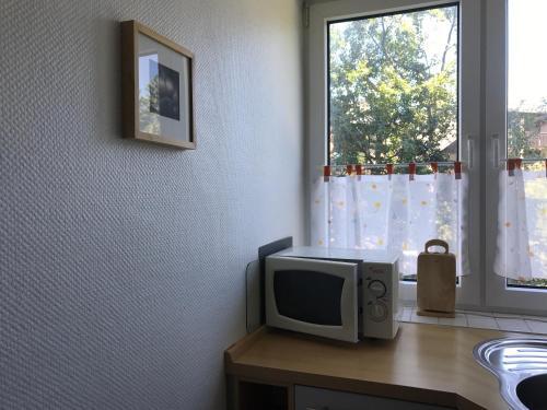 Apartment Anna 002