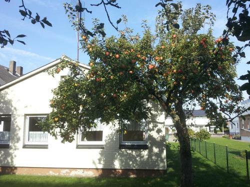 Apartamento Haus Haeger