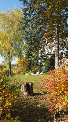 Akzent Vitalhotel K�nig