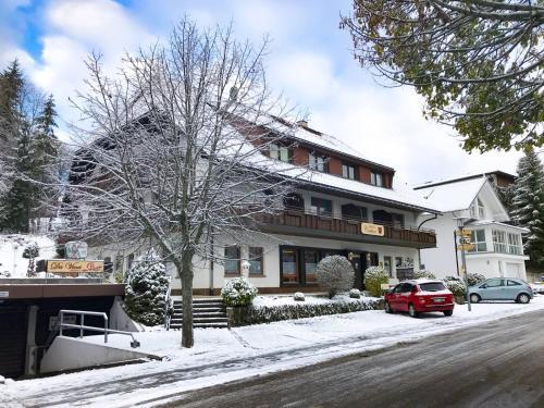 Hostal Hotel Cortina