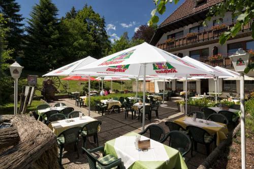 Hostal Hotel Cortina