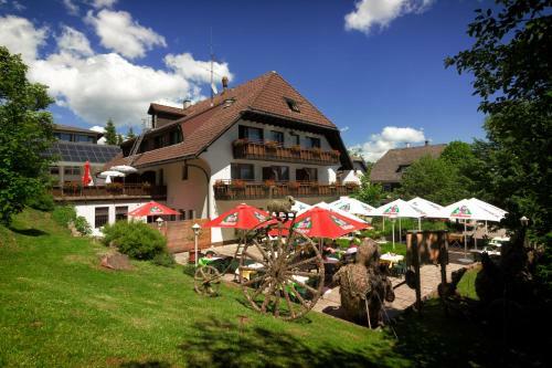 Hostal Hotel Cortina