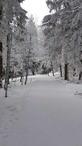 Apartamentos Feriendomizil Tippe
