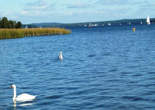 Ferienhaus Am Scharm�tzelsee