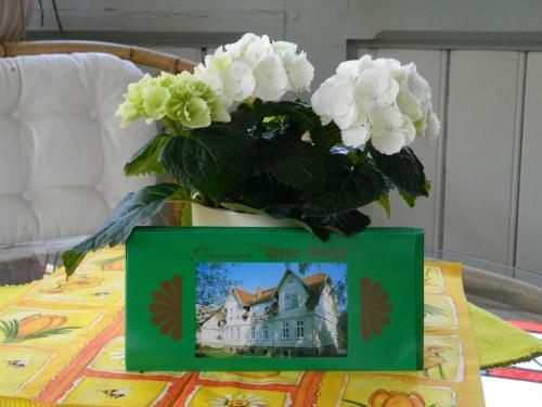 Hostal Pension Haus Marga