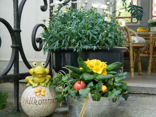 Hostal Pension Haus Marga