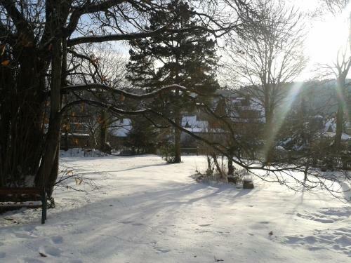 Hostal Pension Haus Marga