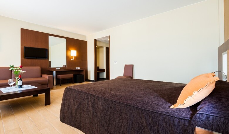 Hotel Ciudad de Alca�iz