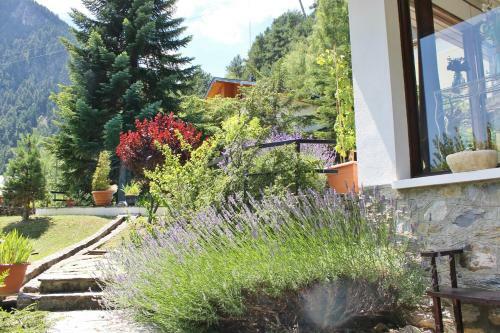 Chalet Amp Grup Montagne Pedrosa
