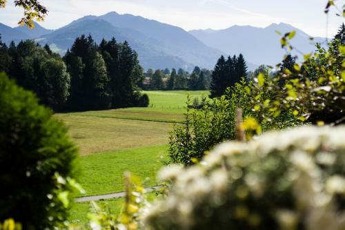 Hostal Landhaus Am Bergwald
