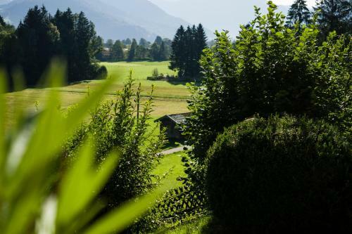 Hostal Landhaus Am Bergwald