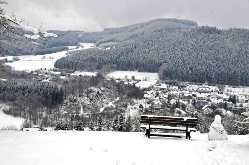 Hotel Niedersfeld-winterberg