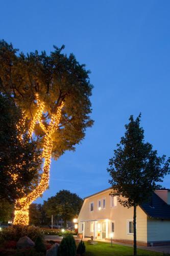 Meinhotel