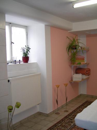 Kurhotel Freuschle